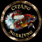 cupang_ngariung profile picture