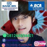 the_beauty_of_betta_fish profile picture