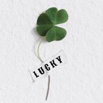 luckyajans profile picture