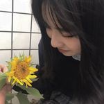 aykso818 profile picture