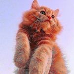 80nss profile picture