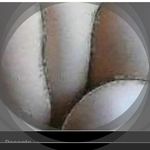 60fcccc profile picture