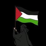 anissafaizul profile picture