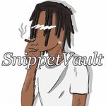 snippetvault profile picture